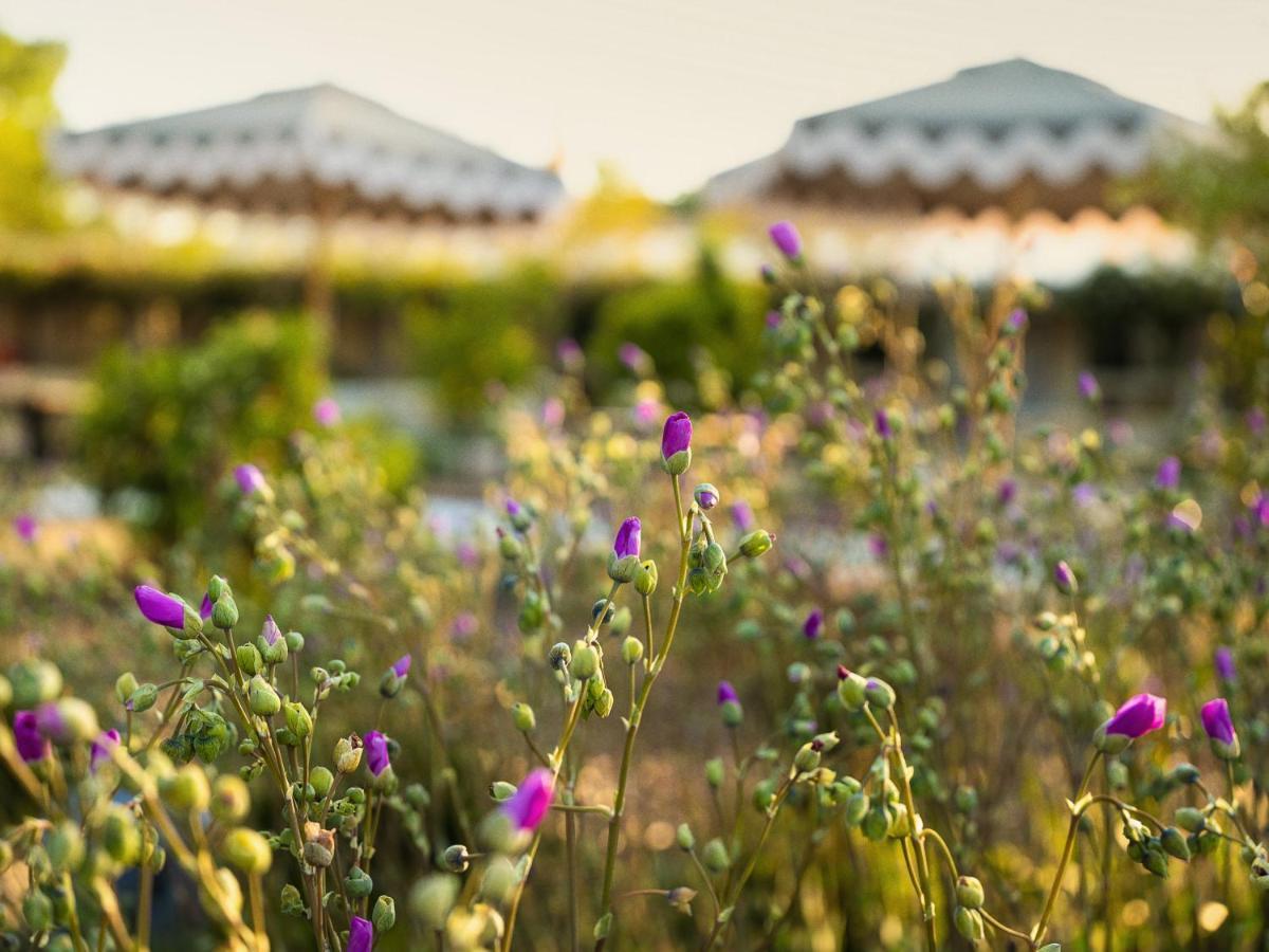 Hotel Ynez Solvang Dış mekan fotoğraf